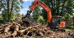 Excavator clearing felled trees and vegetation